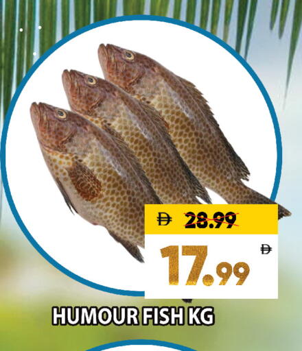 available at Leptis Hypermarket  in UAE - Al Ain