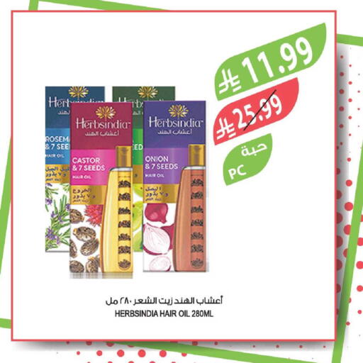 Onion available at Farm  in KSA, Saudi Arabia, Saudi - Al Khobar