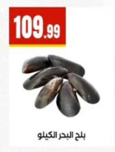 available at المحلاوي ستورز in Egypt - القاهرة