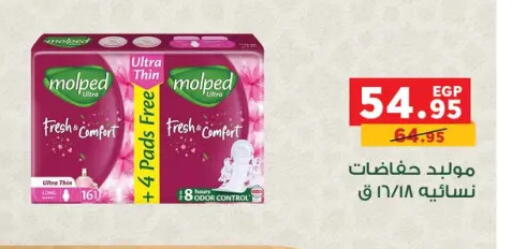 available at بنده in Egypt - القاهرة