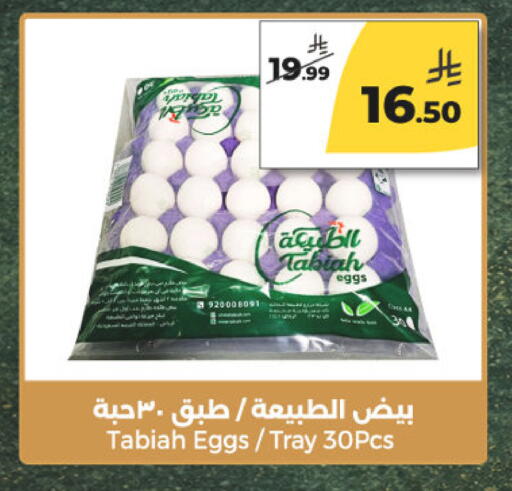 available at  دانة طازج يوميا in مملكة العربية السعودية, السعودية, سعودية - الرياض