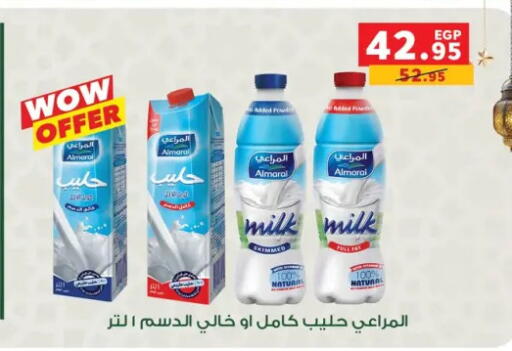 available at Panda  in Egypt - Cairo