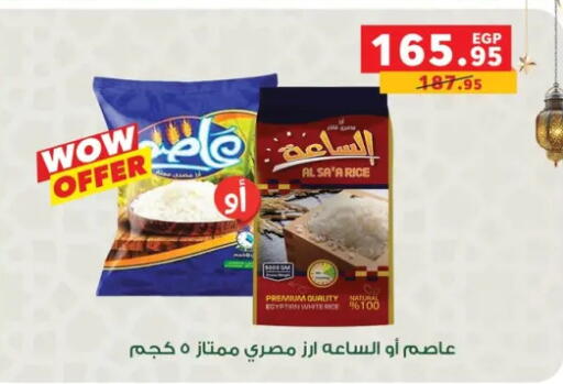 available at Panda  in Egypt - Cairo
