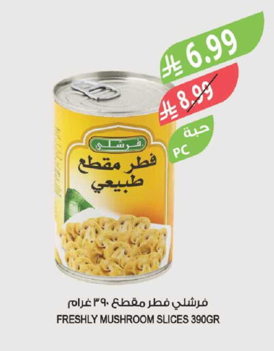 Mushroom available at Farm  in KSA, Saudi Arabia, Saudi - Sakaka