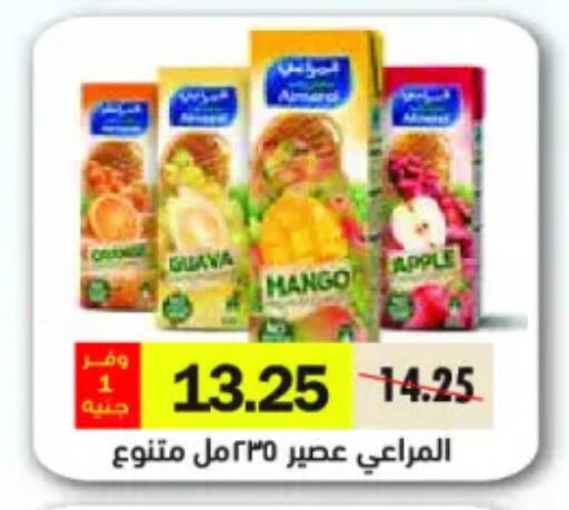 Guava Mango Apple available at Royal House in Egypt - Cairo