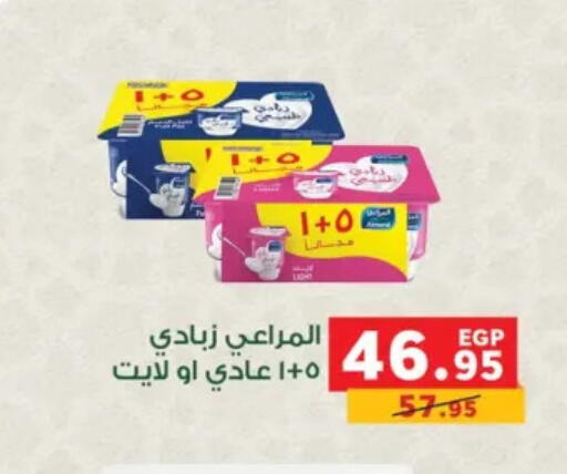 available at Panda  in Egypt - Cairo