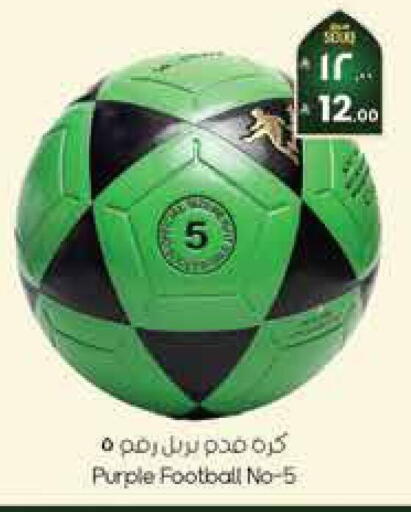 available at City Flower in KSA, Saudi Arabia, Saudi - Jubail