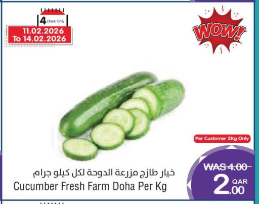 Cucumber from Qatar available at ميغا مارت in قطر - الخور