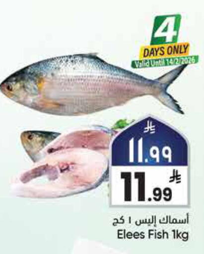 available at ستي فلاور in مملكة العربية السعودية, السعودية, سعودية - الرياض