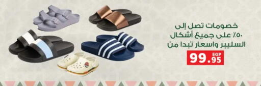 available at Panda  in Egypt - Cairo