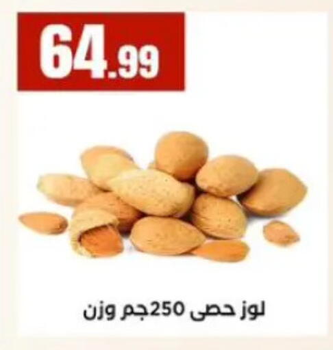available at المحلاوي ستورز in Egypt - القاهرة