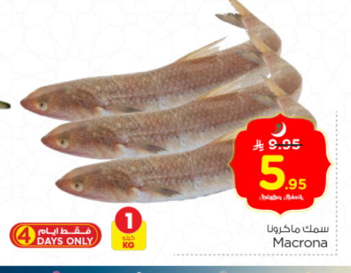 available at Nesto in KSA, Saudi Arabia, Saudi - Riyadh