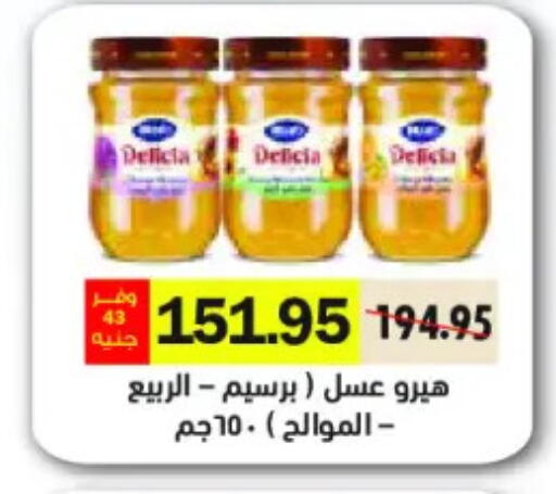 available at رويال هاوس in Egypt - القاهرة