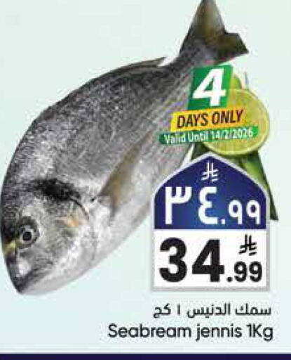 available at ستي فلاور in مملكة العربية السعودية, السعودية, سعودية - سكاكا