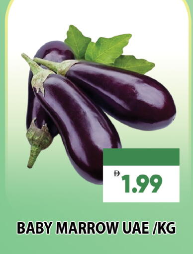 Marrow available at Leptis Hypermarket  in UAE - Al Ain