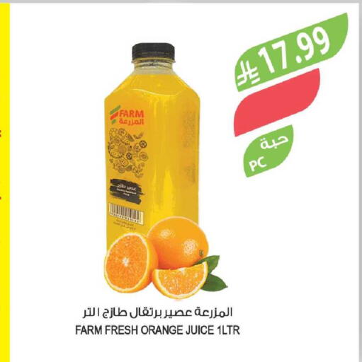 Orange available at Farm  in KSA, Saudi Arabia, Saudi - Sakaka