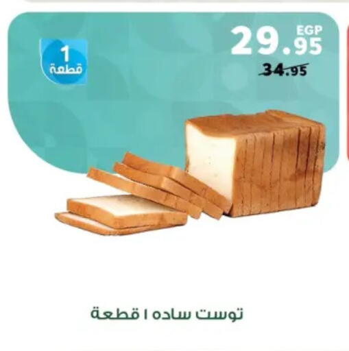 available at بنده in Egypt - القاهرة