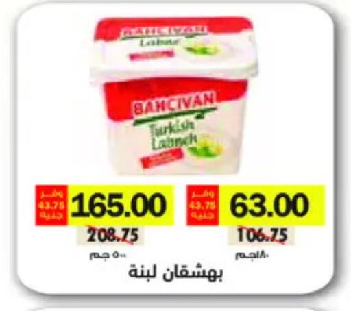 available at Royal House in Egypt - Cairo