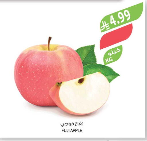 Apple available at Farm  in KSA, Saudi Arabia, Saudi - Sakaka
