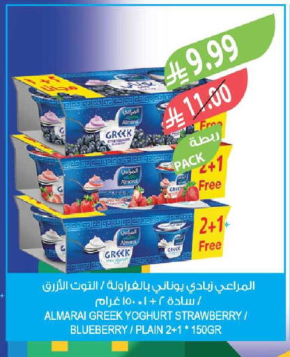Strawberry Blueberry BlueBerry available at المزرعة in مملكة العربية السعودية, السعودية, سعودية - ينبع