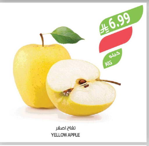 Apple available at Farm  in KSA, Saudi Arabia, Saudi - Yanbu