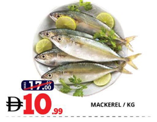 available at اكسبرس المدينة هايبرماركت in الإمارات العربية المتحدة , الامارات - أبو ظبي