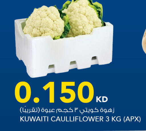 from Kuwait available at  ALNASSER HYPERMARKET in Kuwait - Kuwait City