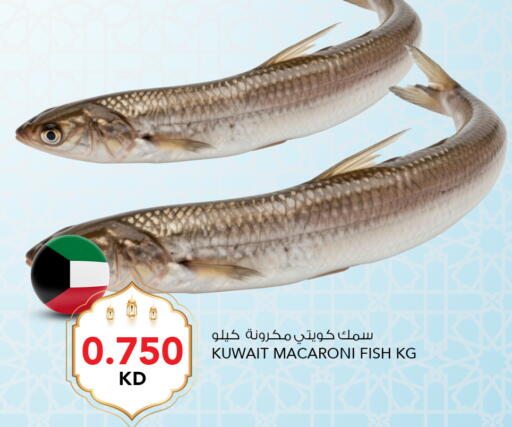 available at النصر هايبر ماركت in الكويت - مدينة الكويت