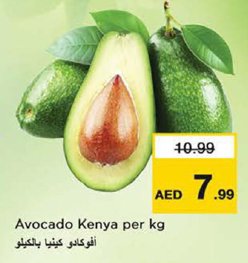 Avocado from Kenya available at نستو هايبرماركت in الإمارات العربية المتحدة , الامارات - الشارقة / عجمان