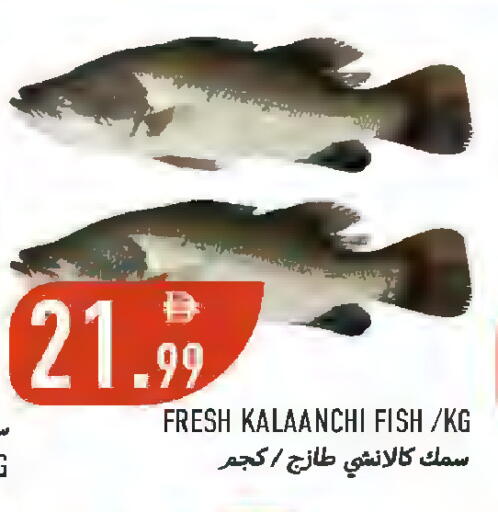 available at Rawabi Market Ajman in UAE - Sharjah / Ajman