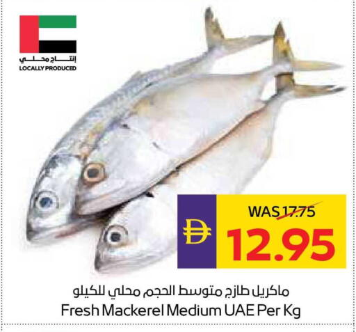 available at أدكووب in الإمارات العربية المتحدة , الامارات - أبو ظبي