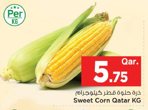 from Qatar available at Mark & Save  in Qatar - Al Shamal