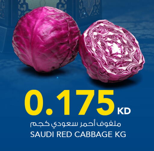 Cabbage from Saudi Arabia available at  ALNASSER HYPERMARKET in Kuwait - Kuwait City