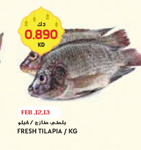 available at Grand Costo in Kuwait - Ahmadi Governorate