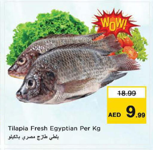 available at نستو هايبرماركت in الإمارات العربية المتحدة , الامارات - ٱلْعَيْن‎