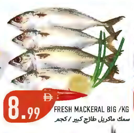 available at Rawabi Market Ajman in UAE - Sharjah / Ajman