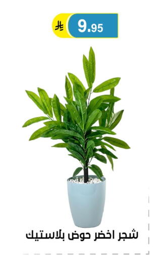 available at الحسين توب أب in مملكة العربية السعودية, السعودية, سعودية - الرياض