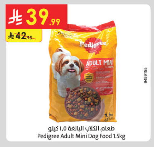 available at الدانوب in مملكة العربية السعودية, السعودية, سعودية - المدينة المنورة