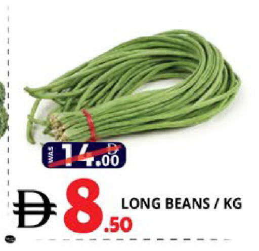 available at اكسبرس المدينة هايبرماركت in الإمارات العربية المتحدة , الامارات - أبو ظبي