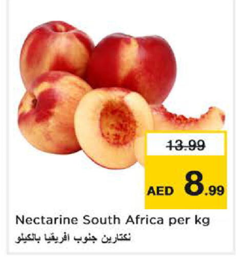 Nectarine from South Africa available at Nesto Hypermarket in UAE - Abu Dhabi