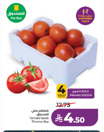 Tomato from Saudi Arabia available at LULU Hypermarket in KSA, Saudi Arabia, Saudi - Tabuk