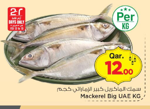 available at مارك & سيف in قطر - الريان