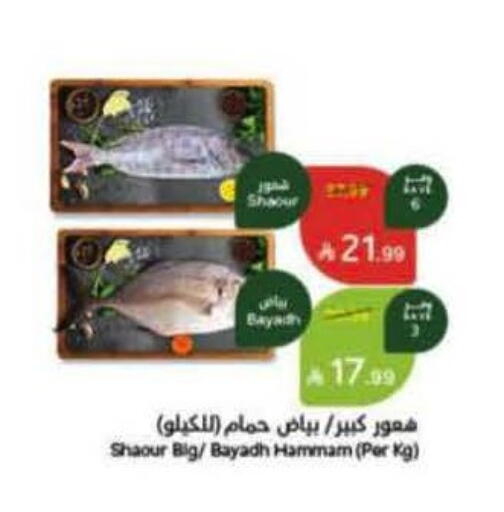 available at هايبر بنده in مملكة العربية السعودية, السعودية, سعودية - الخرج