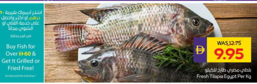 available at أدكووب in الإمارات العربية المتحدة , الامارات - أبو ظبي