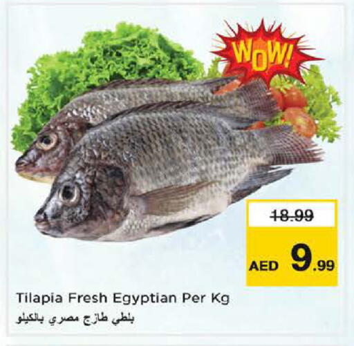 available at نستو هايبرماركت in الإمارات العربية المتحدة , الامارات - أبو ظبي