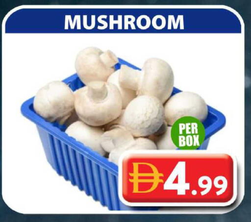 Mushroom available at Grand Hyper Market in UAE - Dubai