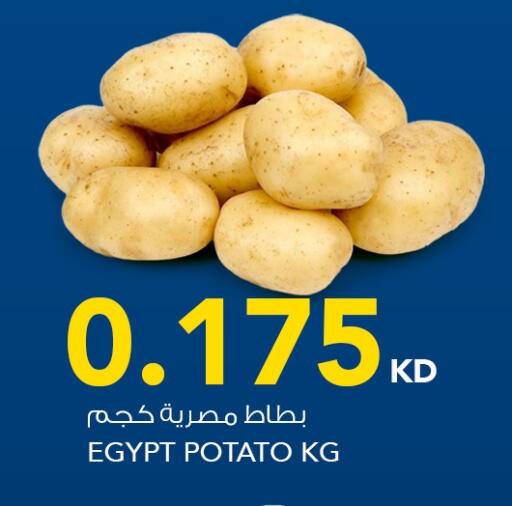 Potato from Egypt available at  ALNASSER HYPERMARKET in Kuwait - Kuwait City
