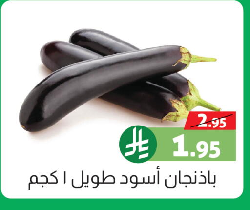 available at صالة العروض in مملكة العربية السعودية, السعودية, سعودية - خميس مشيط