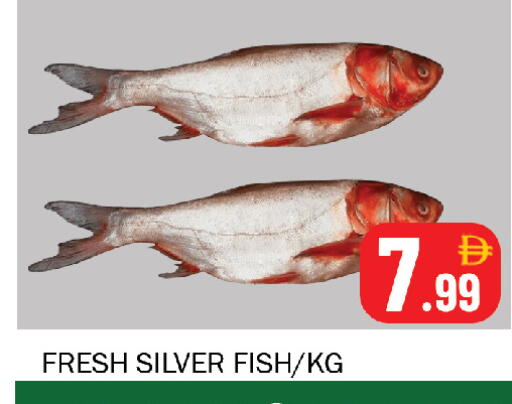 available at Souk Al Mubarak Hypermarket in UAE - Sharjah / Ajman