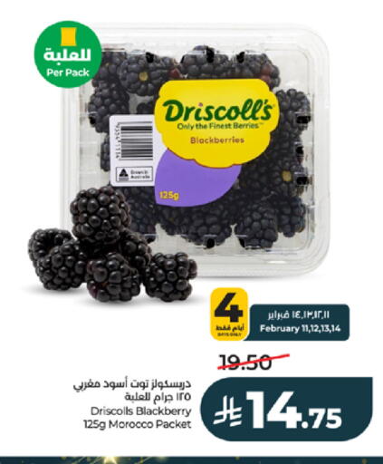 Blackberry from Morocco available at لولو هايبرماركت in مملكة العربية السعودية, السعودية, سعودية - خميس مشيط